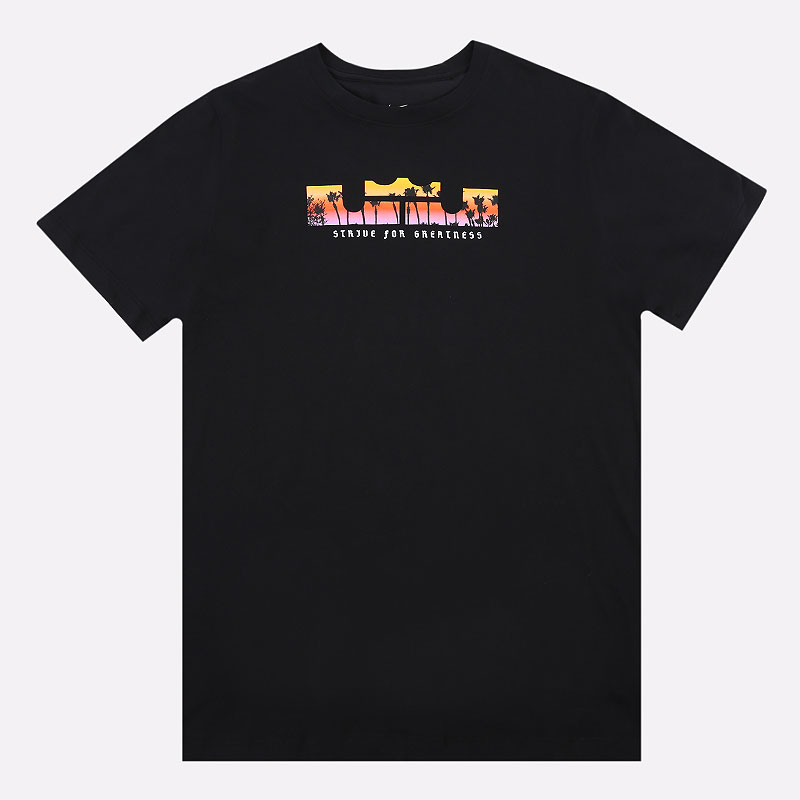 Мужская футболка Nike Dri-FIT LeBron Logo Tee (DB6178-010)  - цена, описание, фото 1